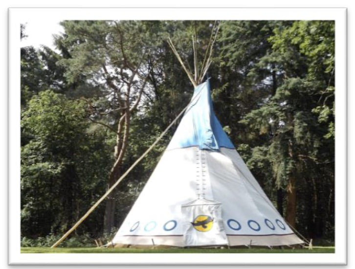 Tipi